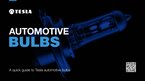 Automobilové žárovky – Prezentace 2025